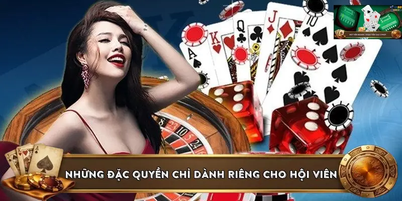 Những đặc quyền chỉ dành riêng cho hội viên